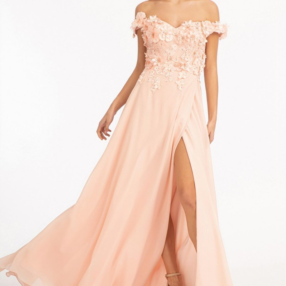BLUSH Floral 3D Applique and Embroidery Embellished A-Line Chiffon Dress GL3018